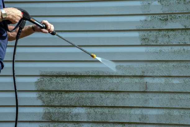 Best Gutter Cleaning  in Leonard, TX