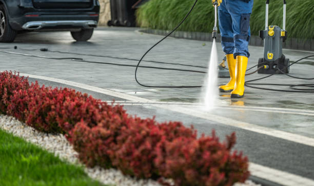 Pre-Holiday Cleaning in Leonard, TX